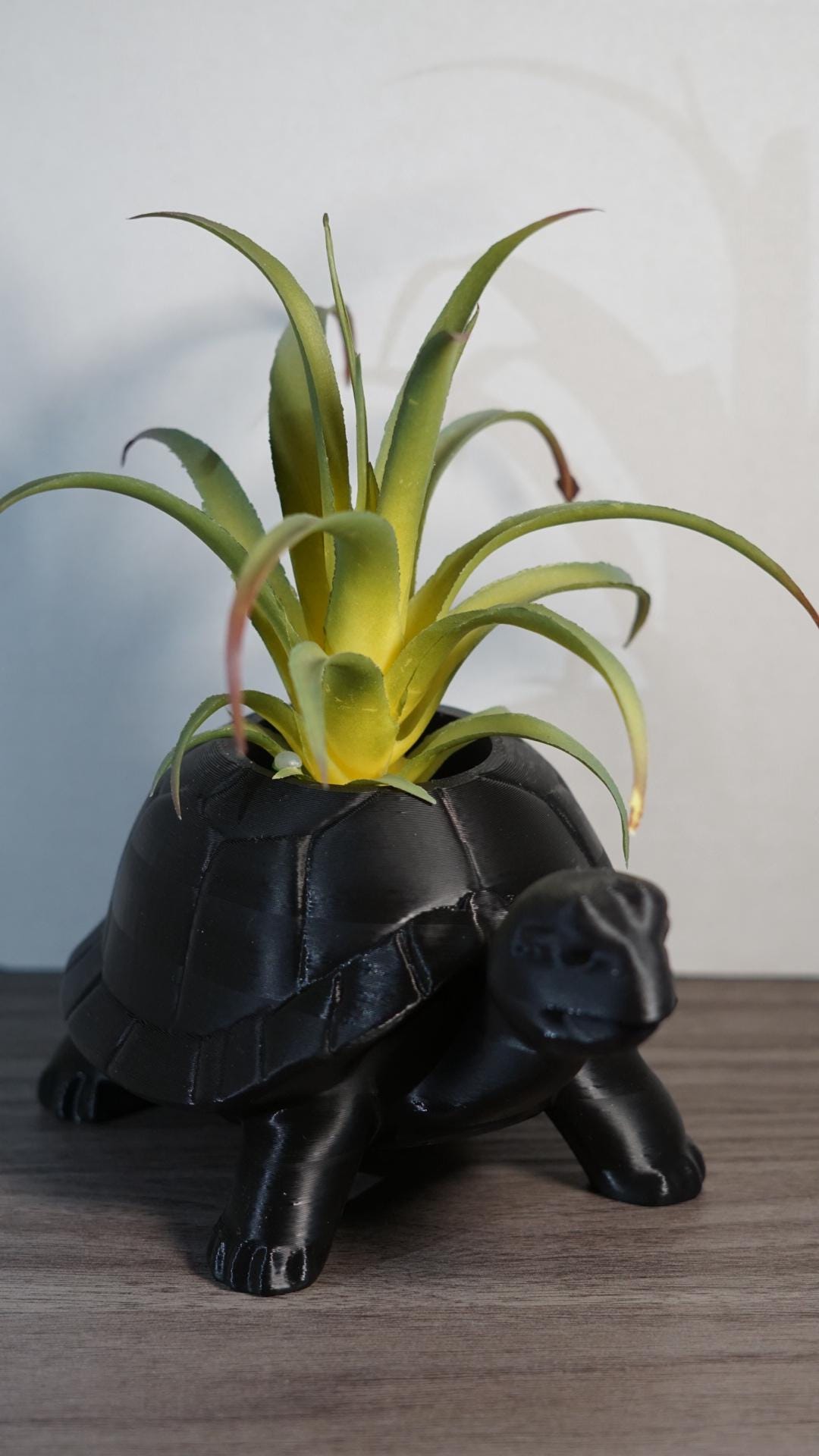 Planter – Turtle, Succulent, Cute Eco-Friendly Pot-Printastic Treasures