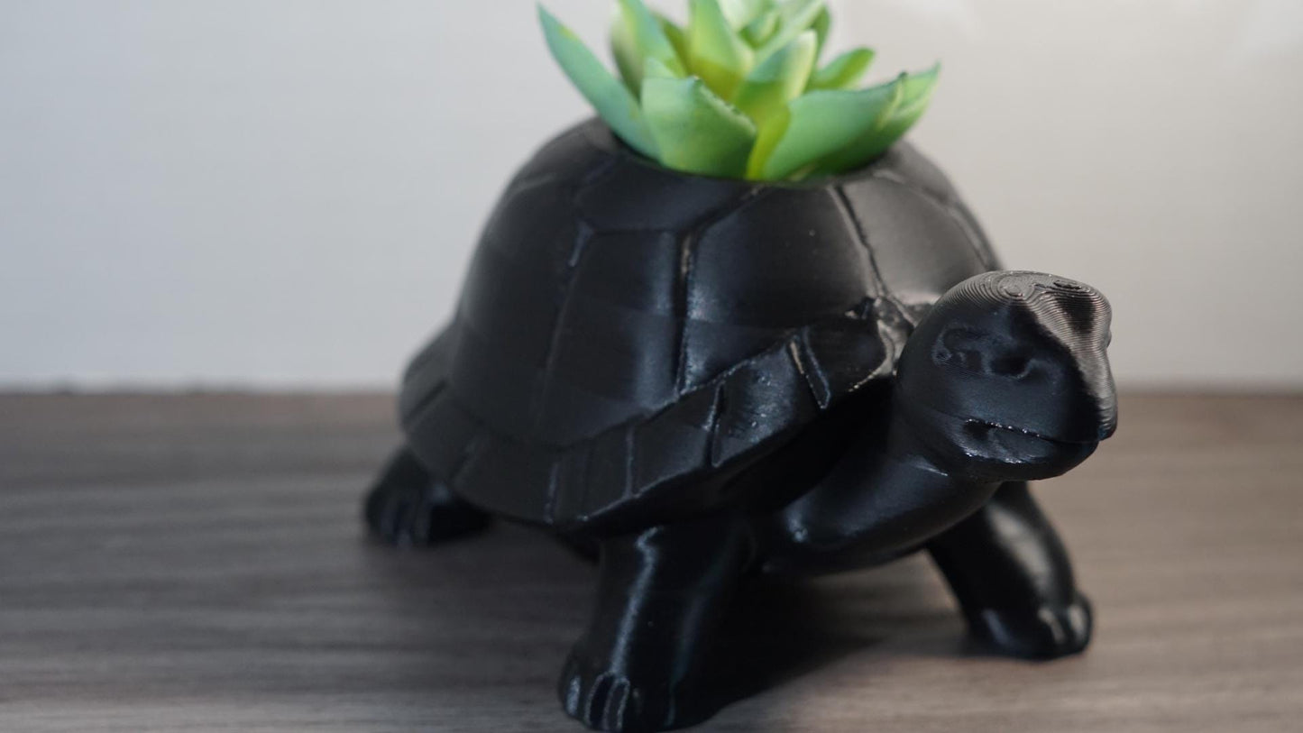 Planter – Turtle, Succulent, Cute Eco-Friendly Pot-Printastic Treasures