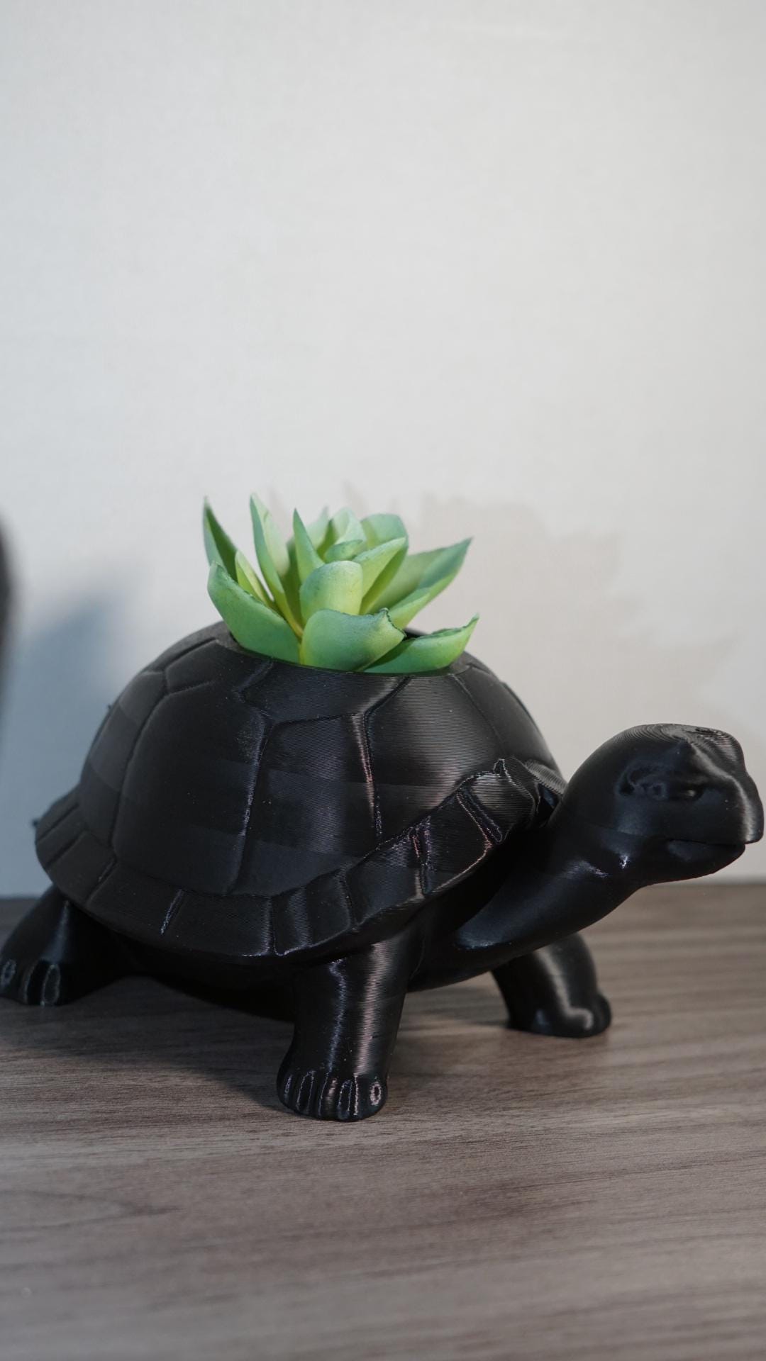 Planter – Turtle, Succulent, Cute Eco-Friendly Pot-Printastic Treasures