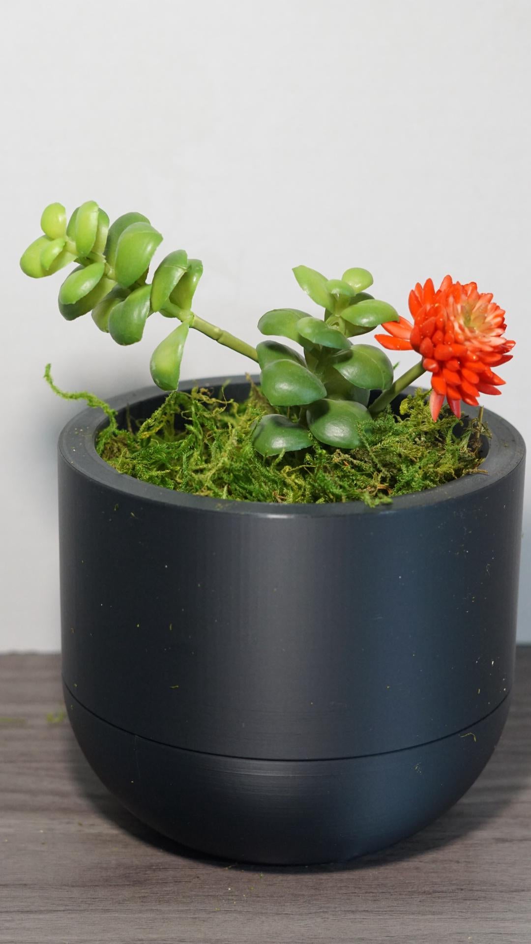 Self Watering Planter 5" Round Modern Pot Base-Printastic Treasures