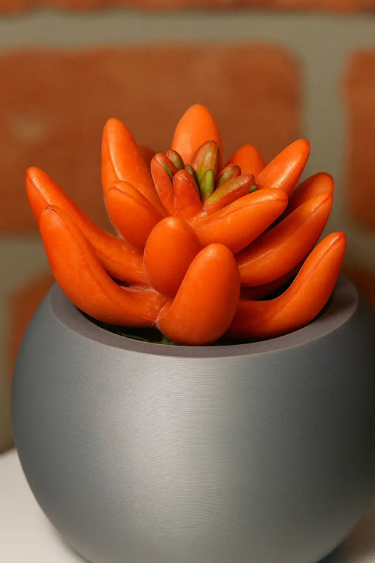 Planter, Indoor Decor, Minimalist Round Succulent Pot-Printastic Treasures