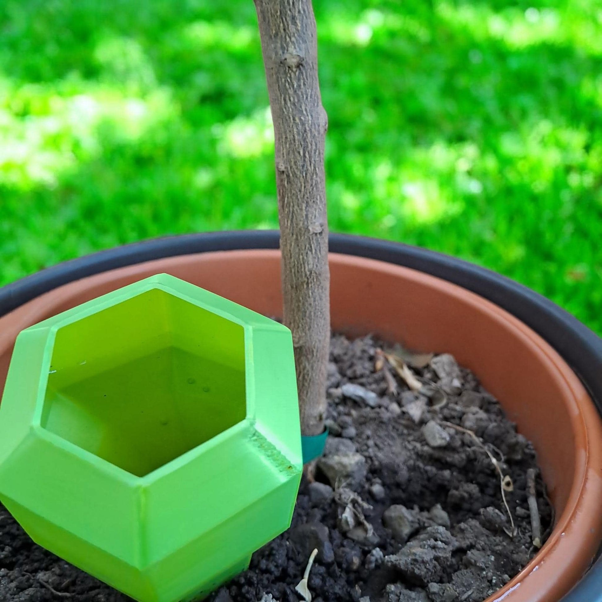 Plant Tools, Watering Set, Hexagon Spikes 6-Pack-Printastic Treasures