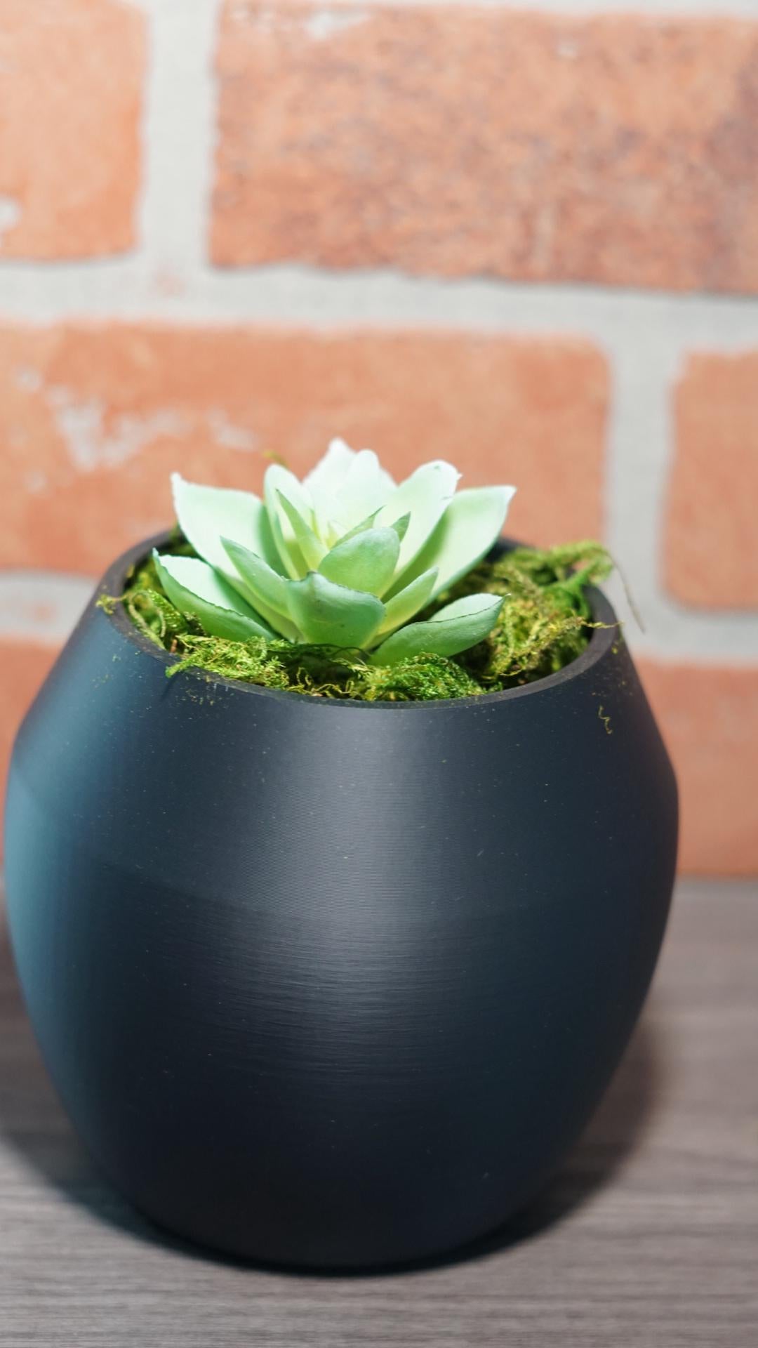 Planter – Modern, Rounded, Small Space Succulent-Printastic Treasures