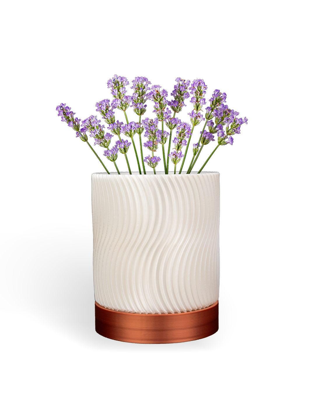 Spiral Hanging Planter Vase Set with Hanger-Printastic Treasures