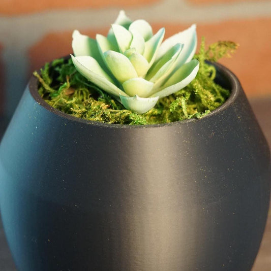 Planter – Modern, Rounded, Small Space Succulent-Printastic Treasures