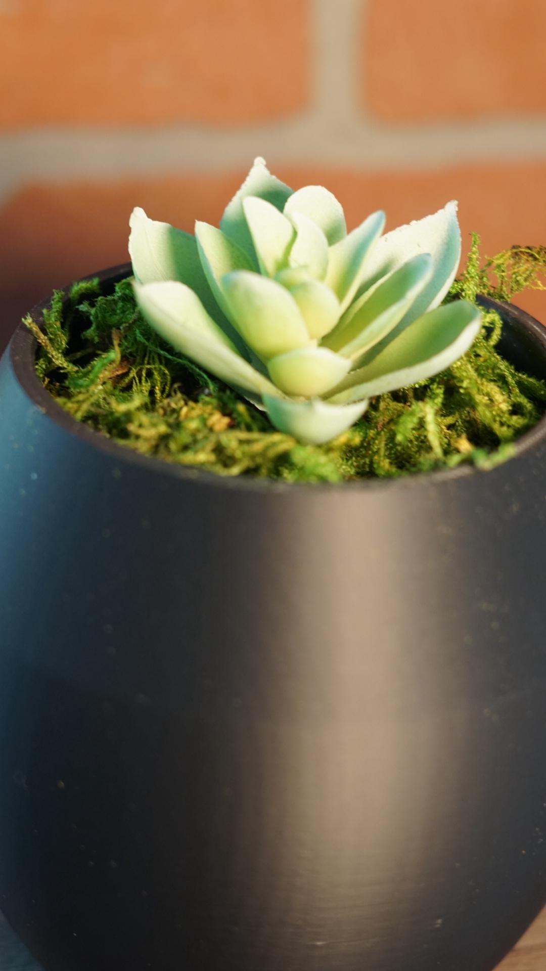 Planter – Modern, Rounded, Small Space Succulent-Printastic Treasures