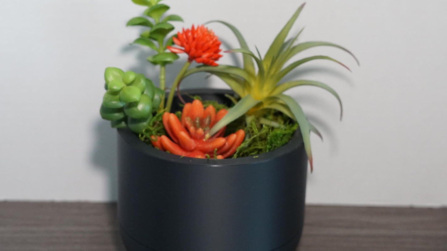 Self Watering Planter 5" Round Modern Pot Base-Printastic Treasures