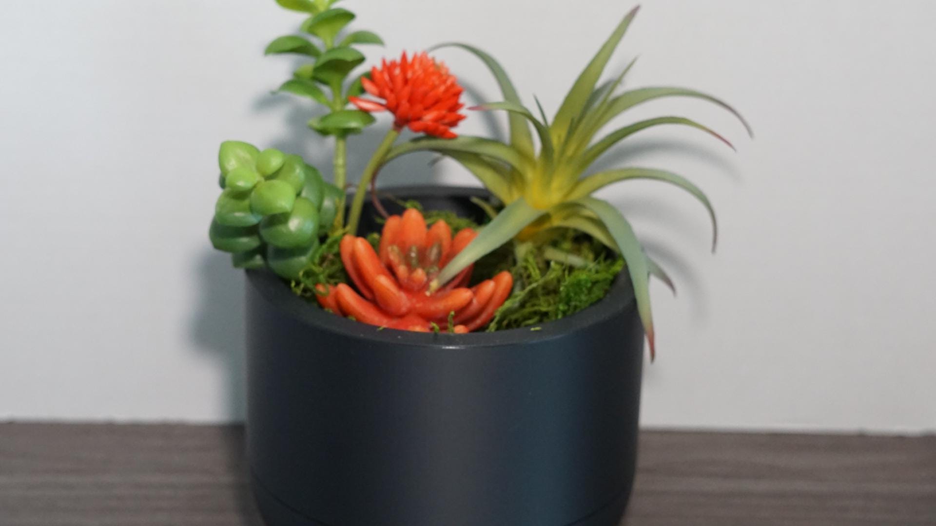 Self Watering Planter 5" Round Modern Pot Base-Printastic Treasures