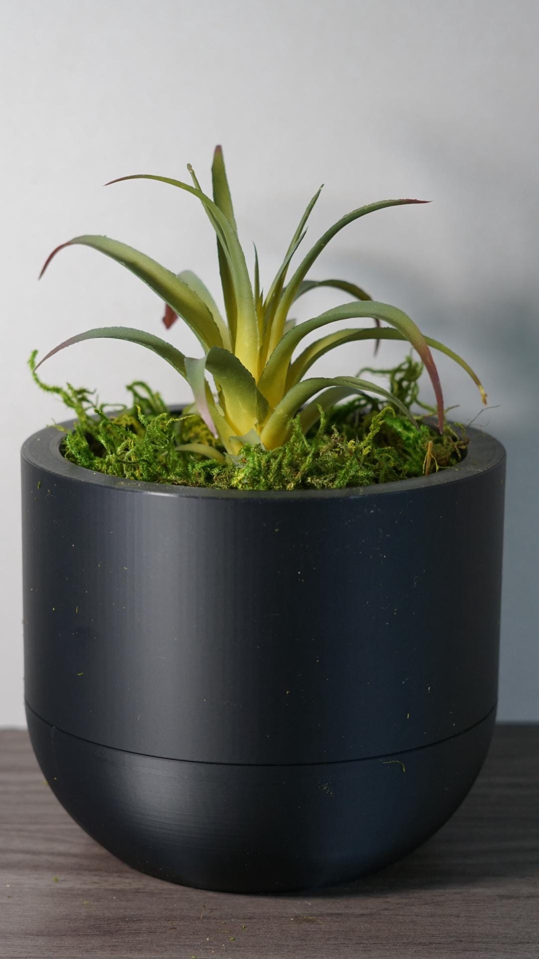 Self Watering Planter 5" Round Modern Pot Base-Printastic Treasures