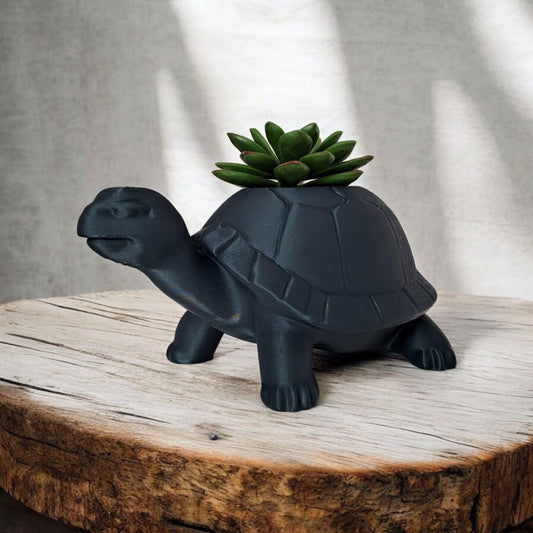 Planter – Turtle, Succulent, Cute Eco-Friendly Pot-Printastic Treasures