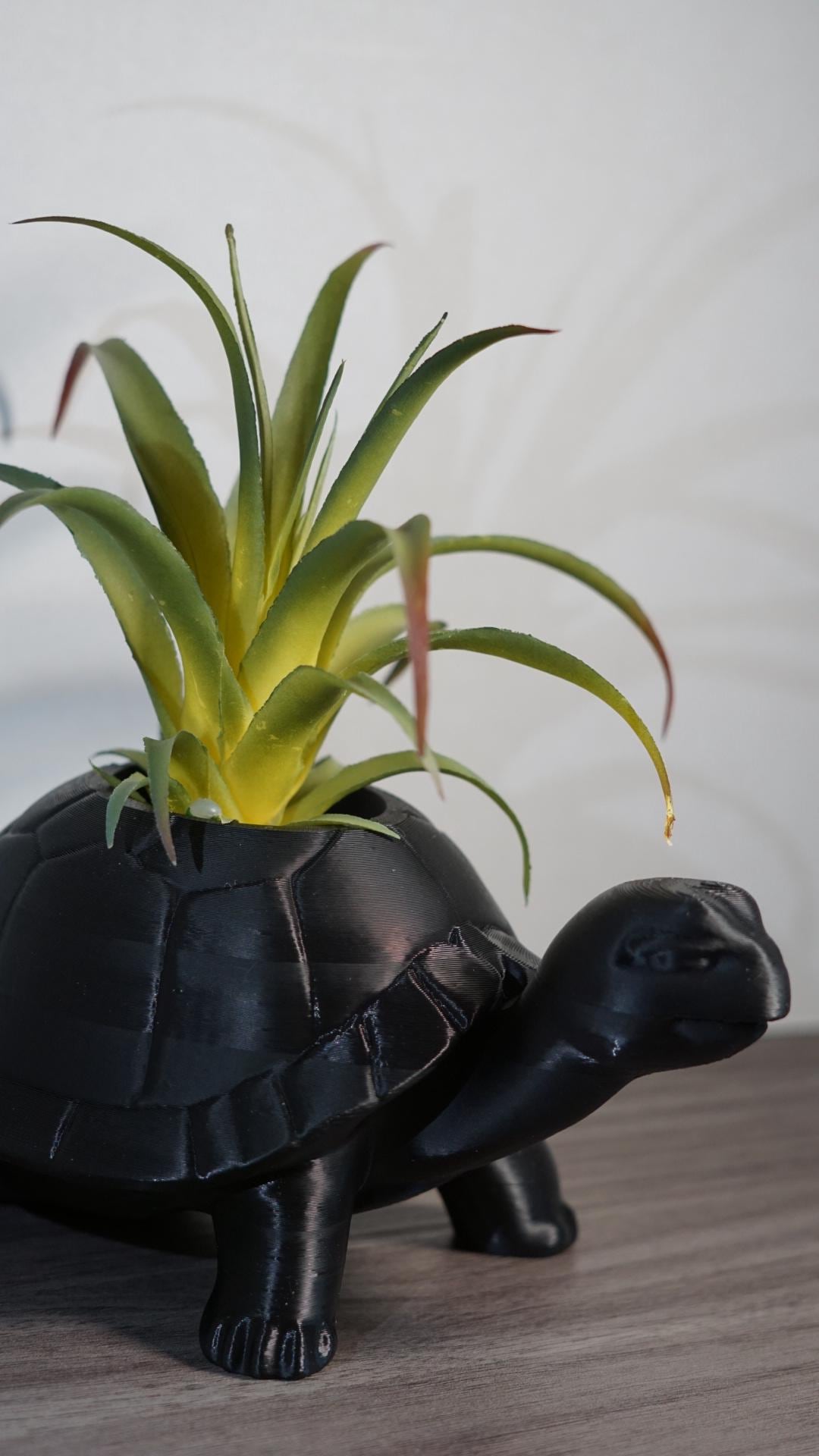 Planter – Turtle, Succulent, Cute Eco-Friendly Pot-Printastic Treasures
