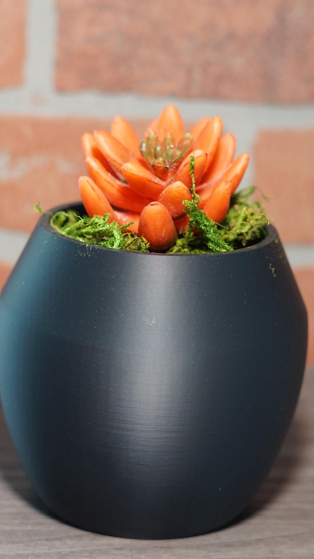 Planter – Modern, Rounded, Small Space Succulent-Printastic Treasures