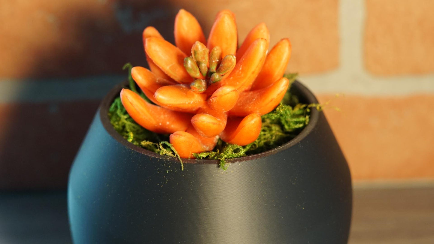 Planter – Modern, Rounded, Small Space Succulent-Printastic Treasures