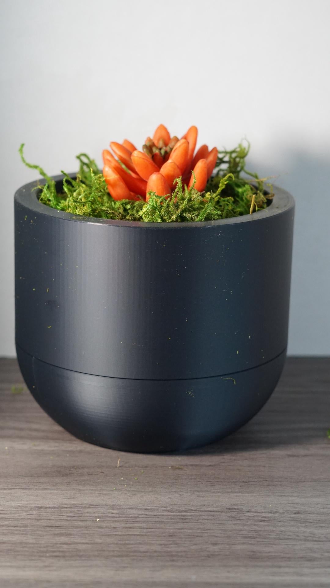 Self Watering Planter 5" Round Modern Pot Base-Printastic Treasures