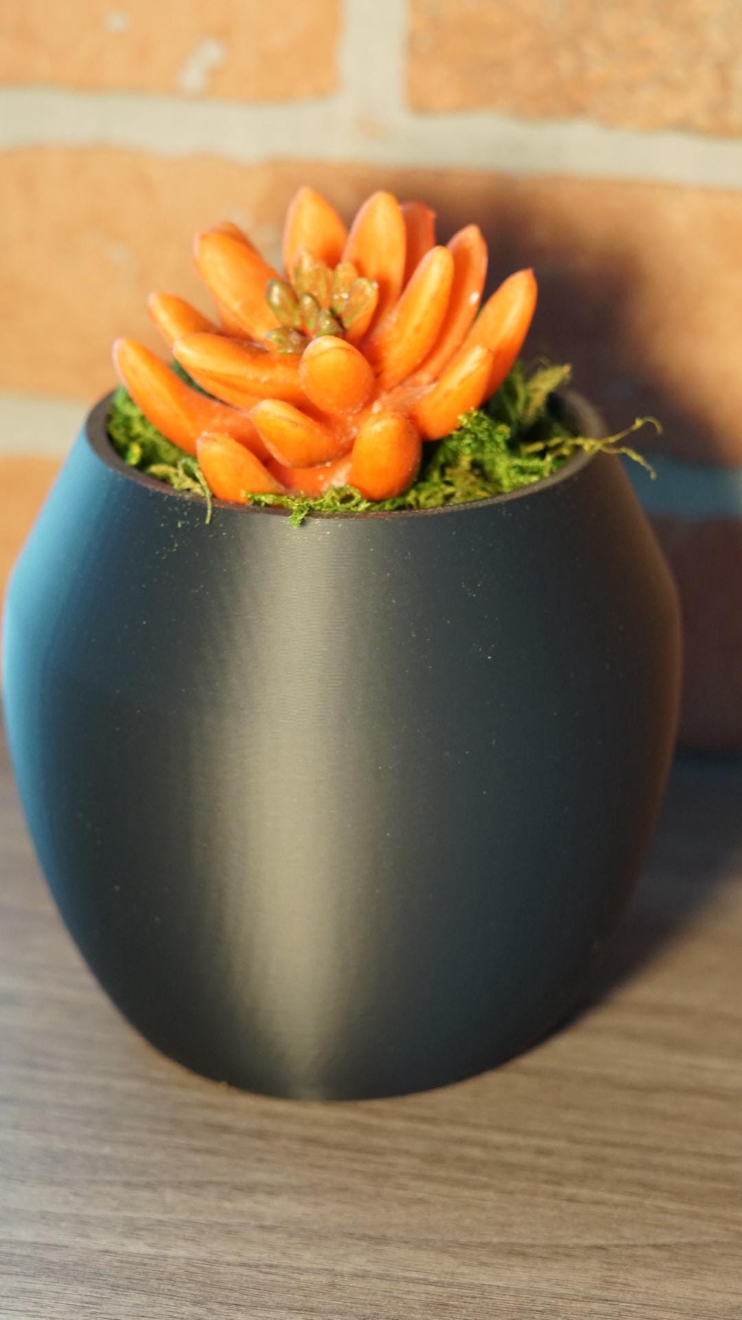 Planter – Modern, Rounded, Small Space Succulent-Printastic Treasures
