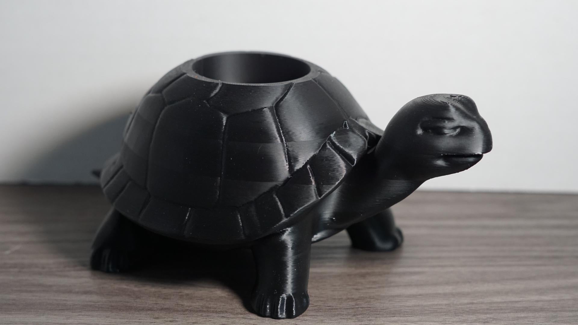 Planter – Turtle, Succulent, Cute Eco-Friendly Pot-Printastic Treasures