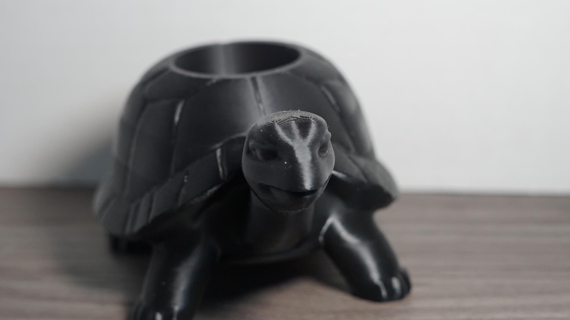 Planter – Turtle, Succulent, Cute Eco-Friendly Pot-Printastic Treasures