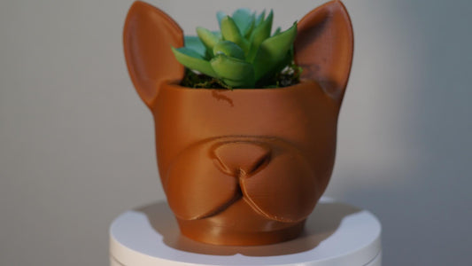 Planter – Dog, Succulent, French Bulldog Decor-Printastic Treasures