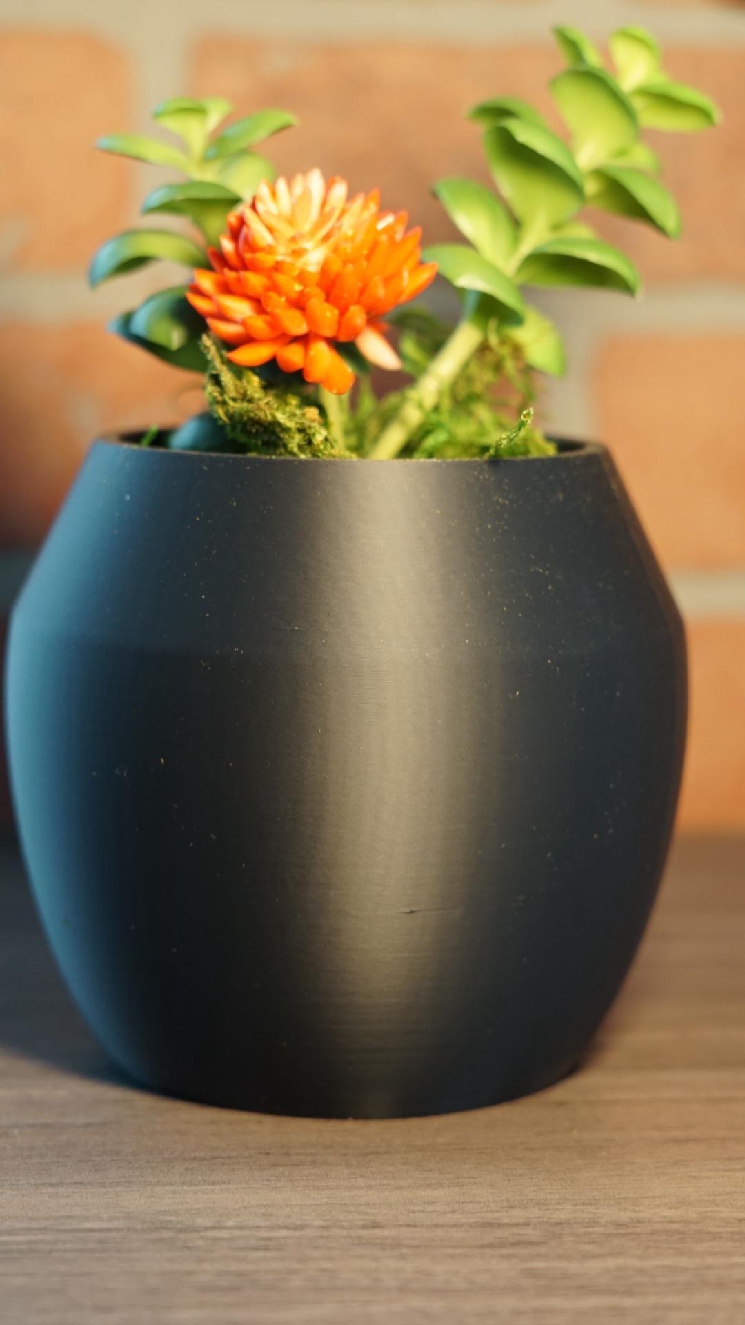 Planter – Modern, Rounded, Small Space Succulent-Printastic Treasures