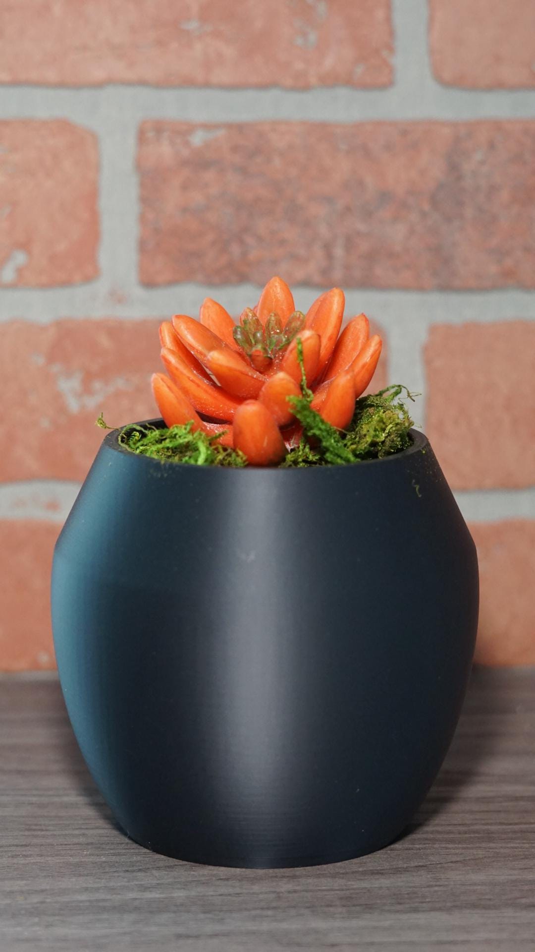 Planter – Modern, Rounded, Small Space Succulent-Printastic Treasures