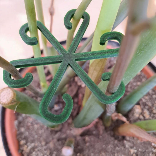 Climbing Plant Support Stakes – Minimalist Trellis Clips for Indoor Plants-Printastic Treasures