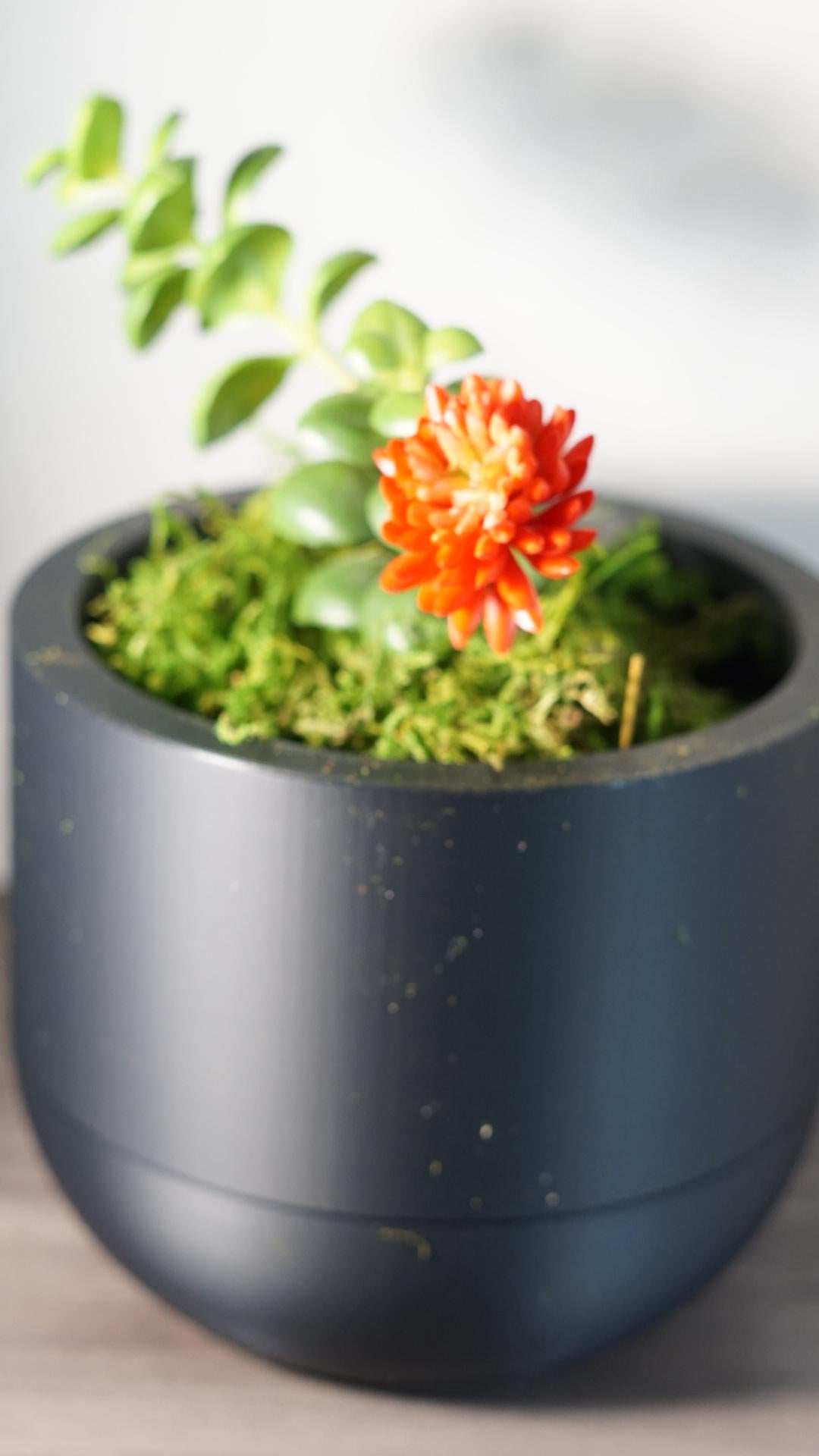 Self Watering Planter 5" Round Modern Pot Base-Printastic Treasures