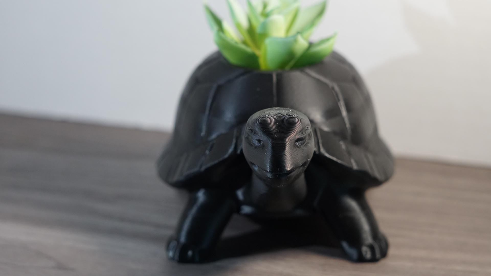 Planter – Turtle, Succulent, Cute Eco-Friendly Pot-Printastic Treasures