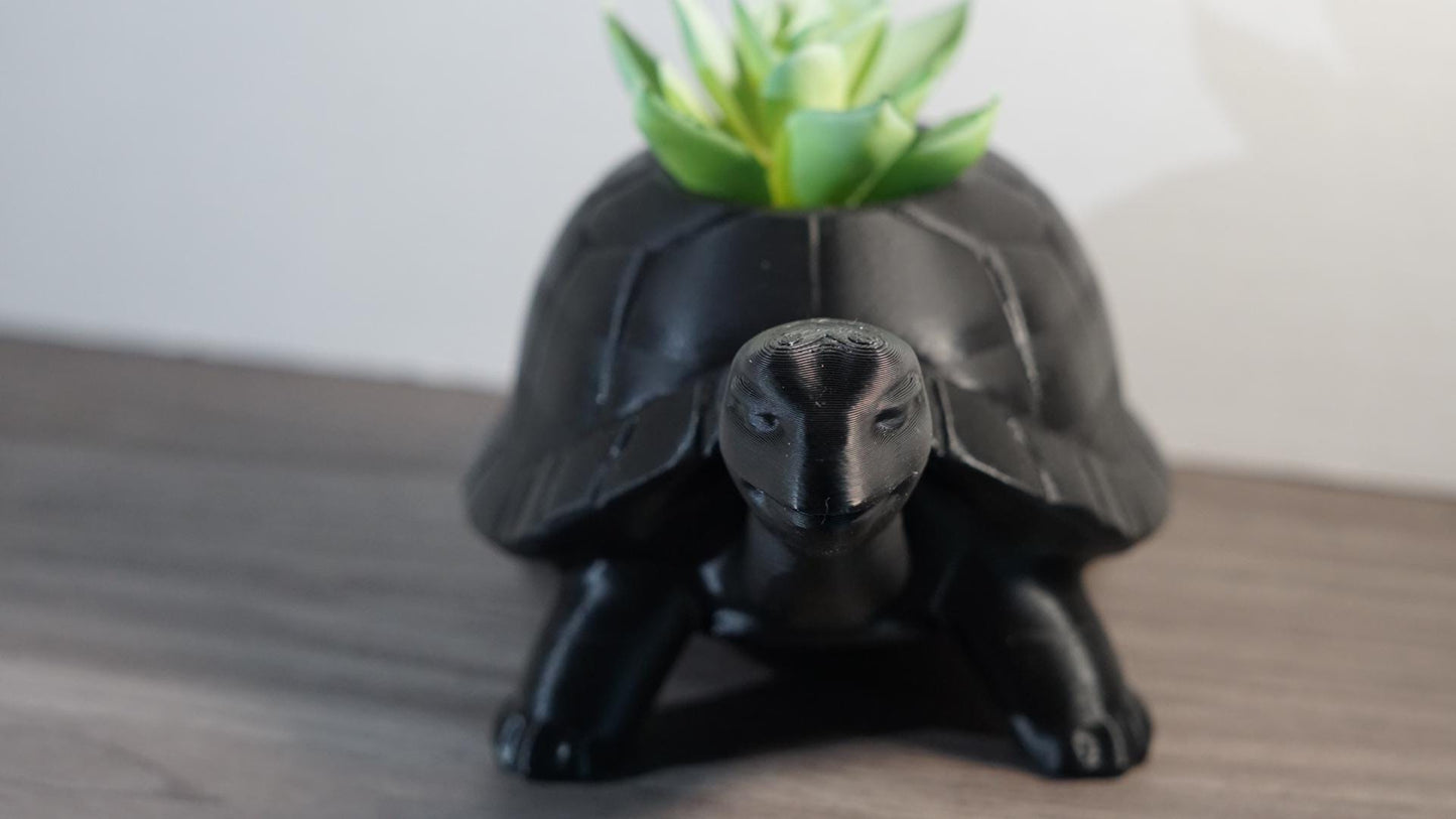 Planter – Turtle, Succulent, Cute Eco-Friendly Pot-Printastic Treasures