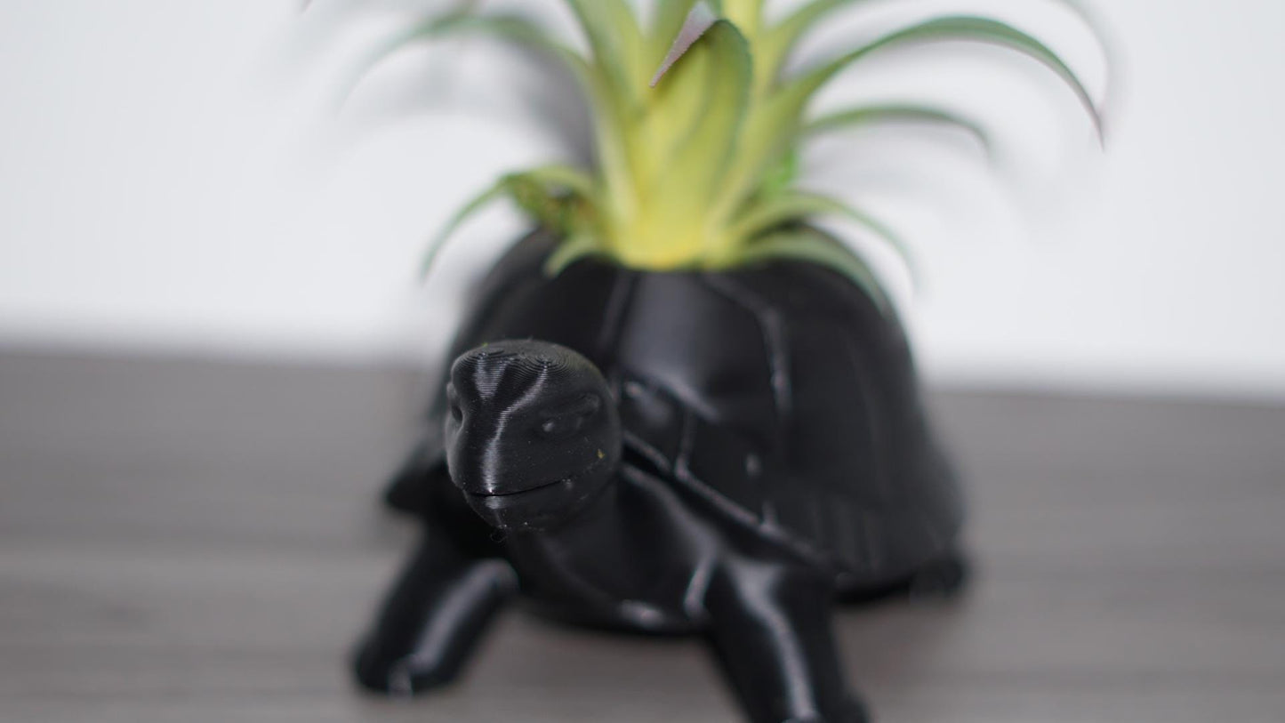 Planter – Turtle, Succulent, Cute Eco-Friendly Pot-Printastic Treasures
