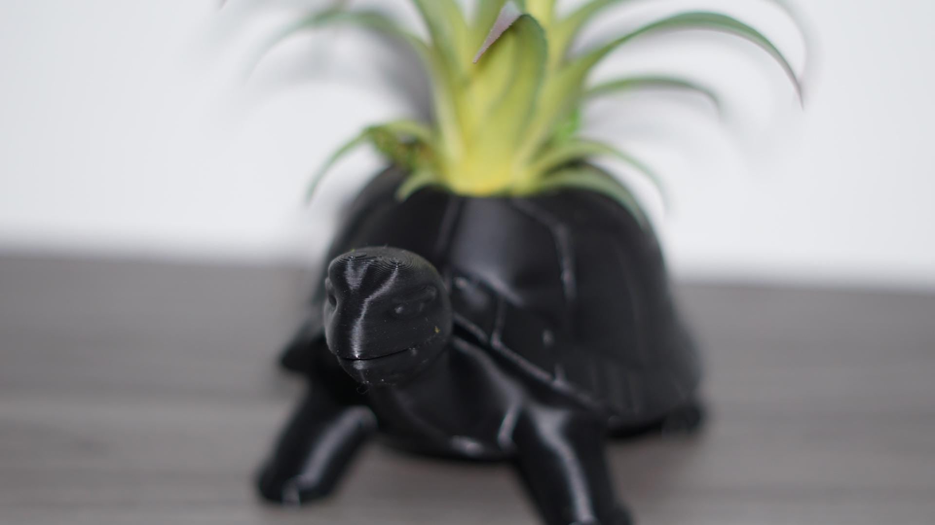 Planter – Turtle, Succulent, Cute Eco-Friendly Pot-Printastic Treasures