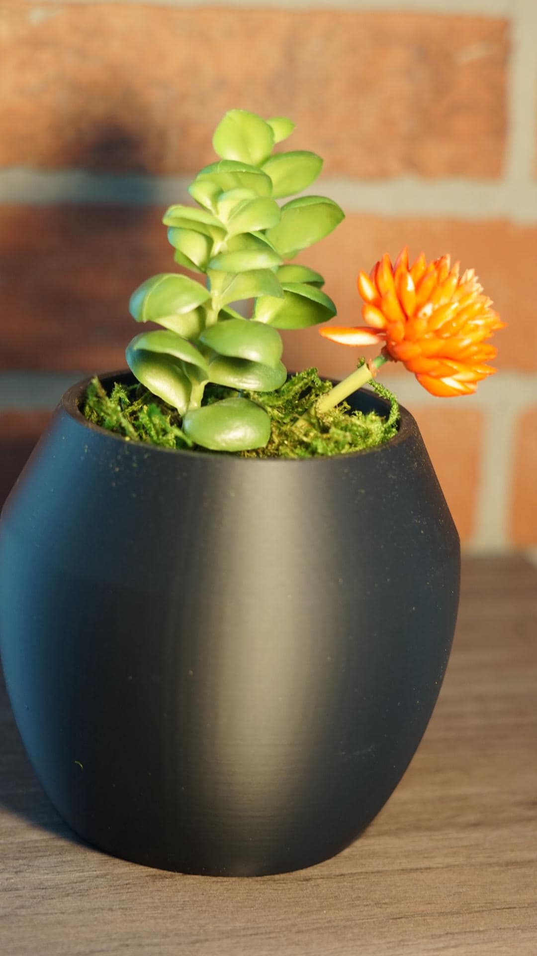 Planter – Modern, Rounded, Small Space Succulent-Printastic Treasures