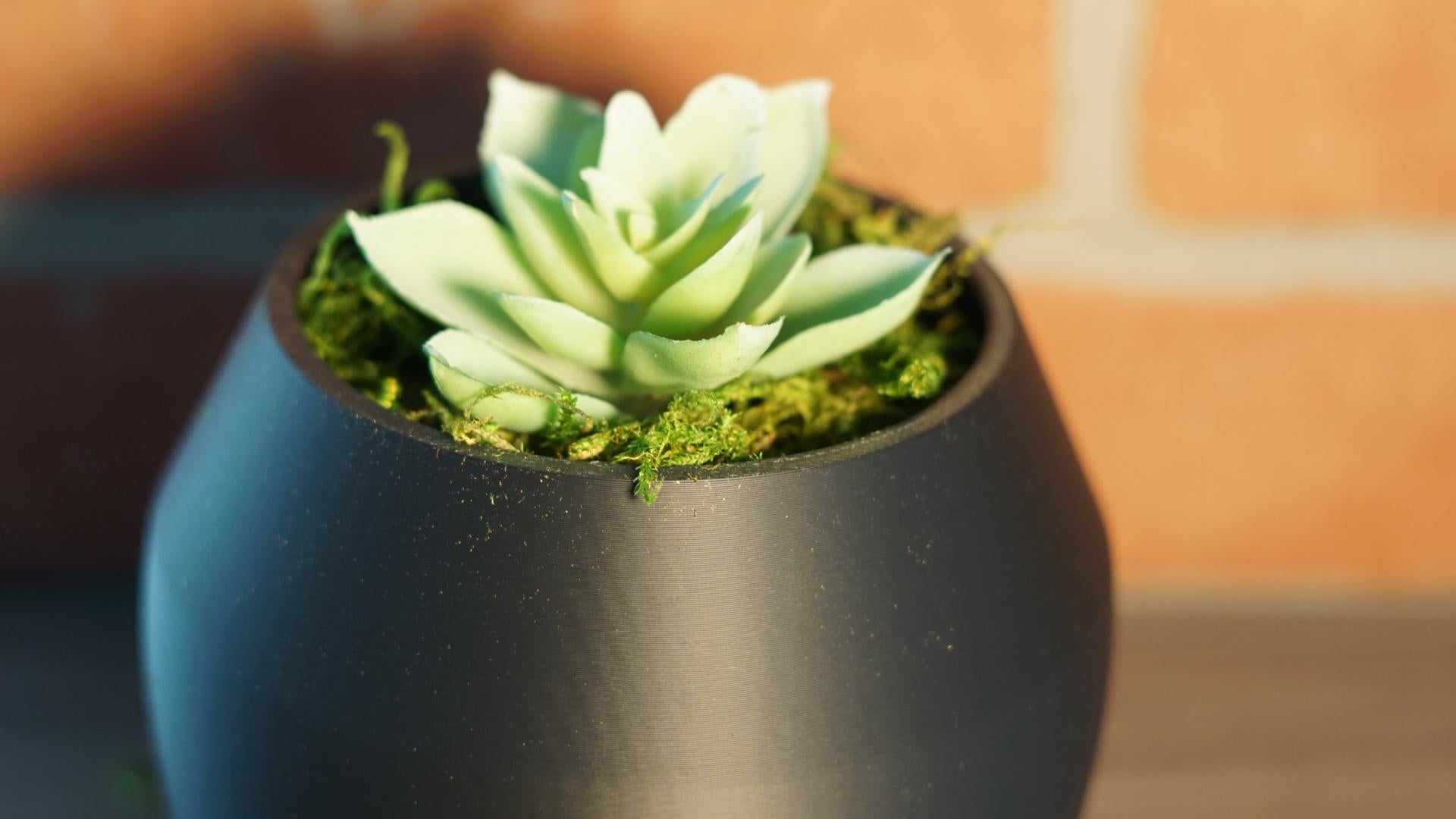 Planter – Modern, Rounded, Small Space Succulent-Printastic Treasures